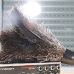 imgp0796_tamron_crop2