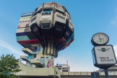 Bierpinsel in voller Pracht