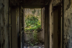 Natürlicher Eingang