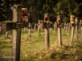 Cemetary of the insane