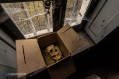 Totenkopf "Out of the box"