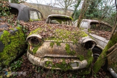 Panhard PL17 (weiss)