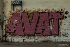 AVAT - Streetart