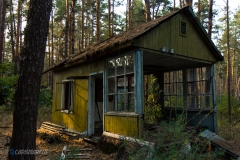 30 Jahre nichts gemacht