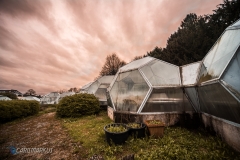 Life on the red planet