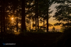 Sonnenuntergang im Wald