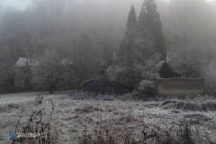 Schwarzwaldidylle