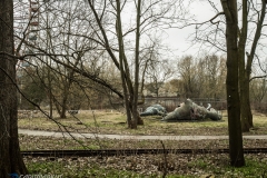 Das Aussterben der Dinosaurier