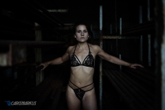 IMGP3343-Bearbeitetweb