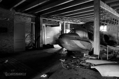 Take these brogen wings