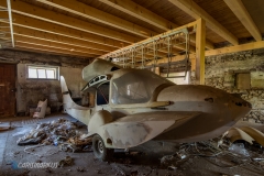 Bird without wings (color)