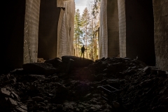 Wandering under the woods