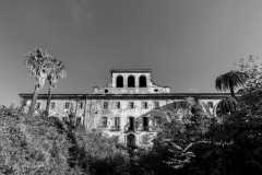 Lost Place mit Palmen (mono)