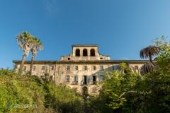 Lost Place mit Palmen (color)