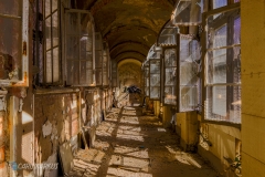 Die Fliege am Ende des Ganges (Plotbot Ken)